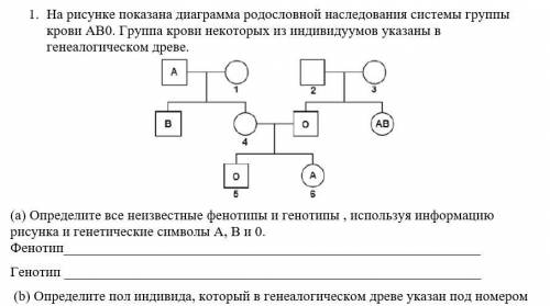 1. На рисунке показана диаграмма родословной наследования системы группы крови АВ0. Группа крови нек