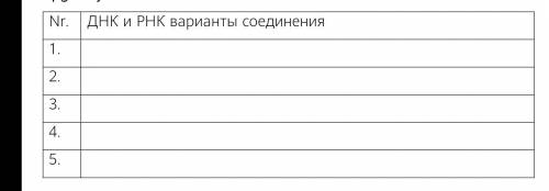 , ТОЛЬКО ПРАВИЛЬНО Заполните таблицу о ДНК и РНК общие признаки (строение, функции, расположение в я