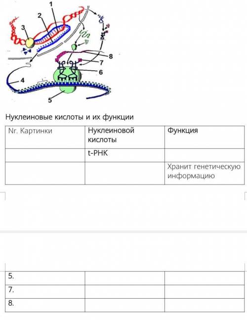 ЕСЛИ НЕ ЗНАЕТЕ НЕ ПИШИТЕ