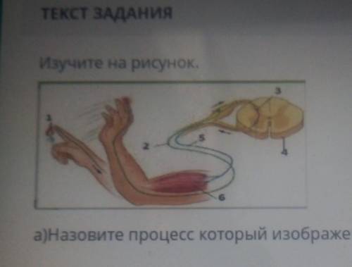 Изучите рисунок Назовите процесс который изображён на рисунке​