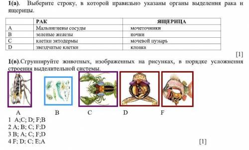 Все задания в скриншоте