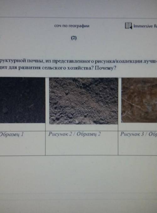  Какой тип структурной почвы, из представленного рисунка/коллекции лучше  всего подходит для развити