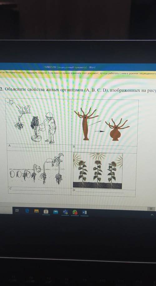 2. Объясните свойства живых организмов (А, В, С, D), изображенных на рисунке.AВСD​