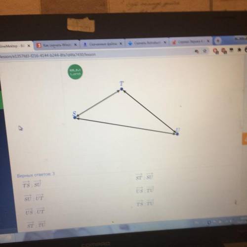 Дан треугольник STU. Какие вектора имеют общее начало , люди добрые и злые. : 3