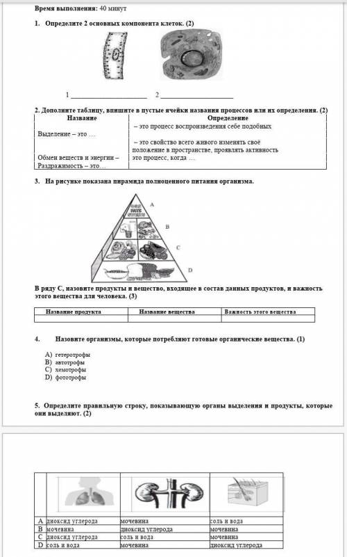 СОЧ по естествознанию 6 класс 3 четверть.