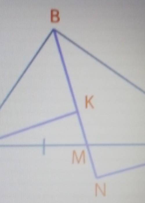 BM - медіана ΔABC, AK⊥BN, CN⊥BN. Доведіть, що !Надо описать как делать это​