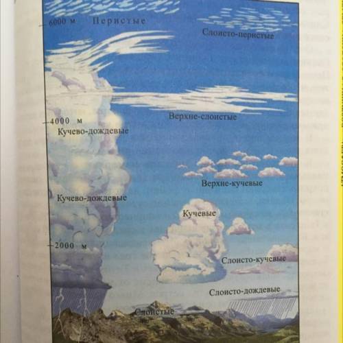 4. Какие типы облаков показаны на рисунке? Какие из них находятся ближе всего и дальше всего от пове
