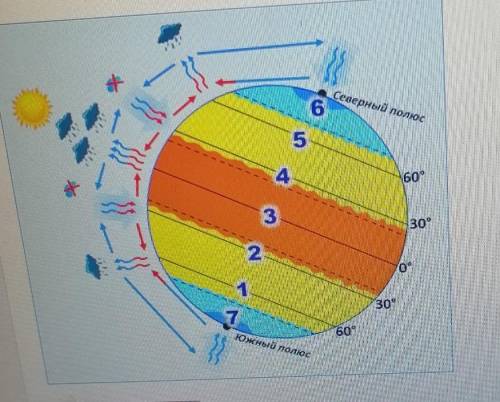 Какими номерами на рисунке обозначены пояса Еысокого атмосферного давления? (ответ запии цифрами по