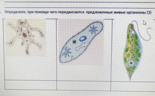 Определите при чего передвигаются предложенные организмы ​