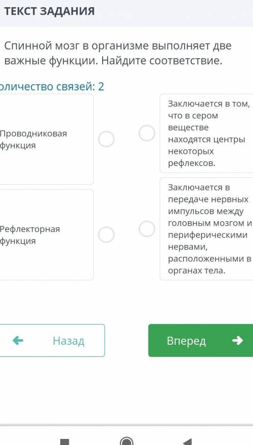 Спиной мозг в организме выполняет две важной функции. найдите соответствие ​