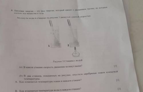 (а) В каком стакане скорость движения молекул выше? (b) в два стакана, показанных на рисунке, опусти