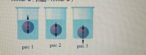 10. На рисунке изображен стеклянный шарик массой 40г, погруженный в воду (g=9,8 Н/кг, P воды=1000кг/