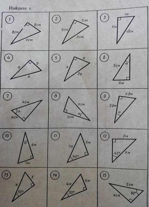 Решить только 2,4,6,8,10,12,14​