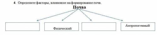 Определите факторы, влияющие на формирование почв.