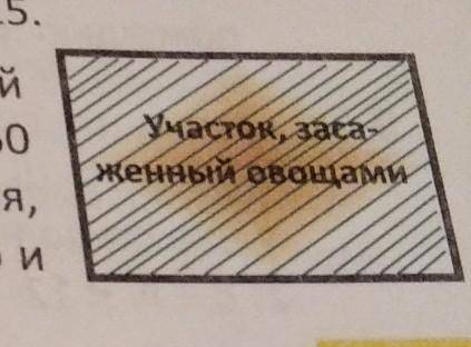 4) На рисунке дан план огорода прямоугольной формы в масштабе 1: 50 000. Отрезку на местности 50м со