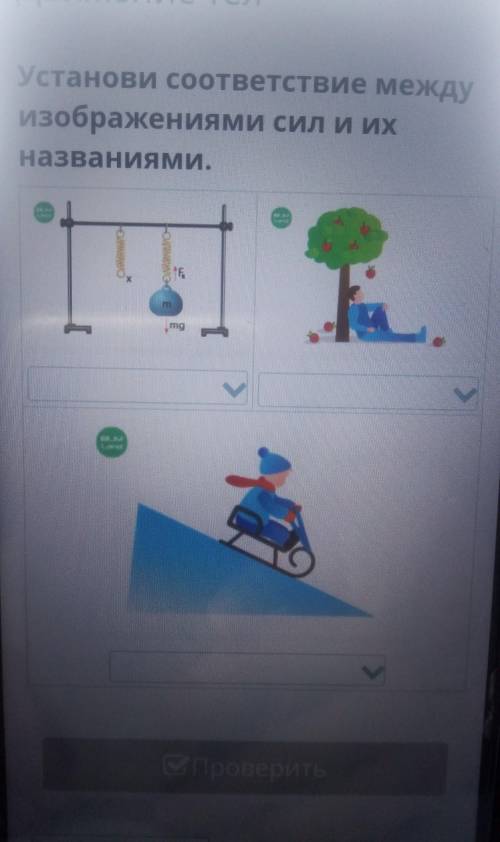 Естествознание. Тема:движение тел. установи соответствие между изображением сил и их названиями. Сил