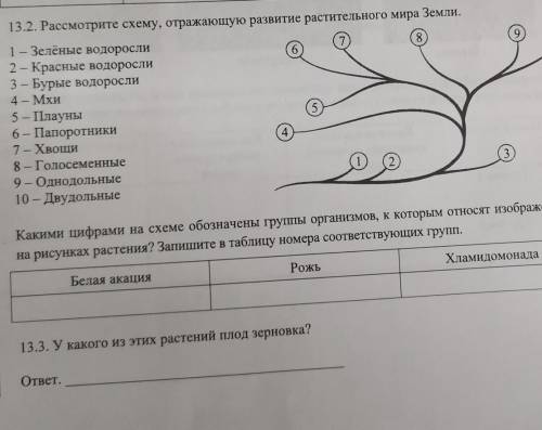 13.2 13.3 рассмотрите решат только биологи ​