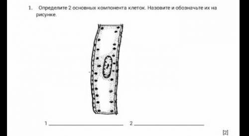 Доброго времени суток!можете с данным заданием,заранее ♡​