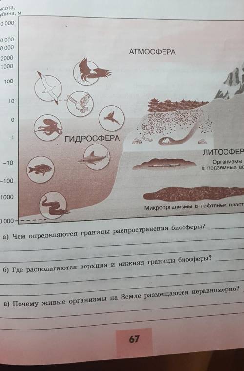 Чем определяются границы распространения биосферы​