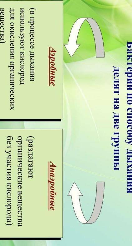 По отношению к кислороду бактерии являются: Анаэробами Аэробами Как аэробами, так и анаэробами