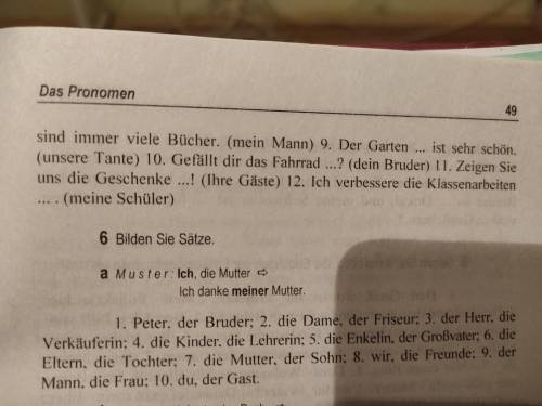 Gebrauchen Sie die in Klammern stehenden Wortgruppen in der richtigen Form