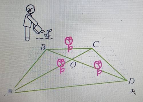 В парке при музее решили разбить клумбу в форме четырёхугольника. Две стороны этой клумбы (AD и BC),