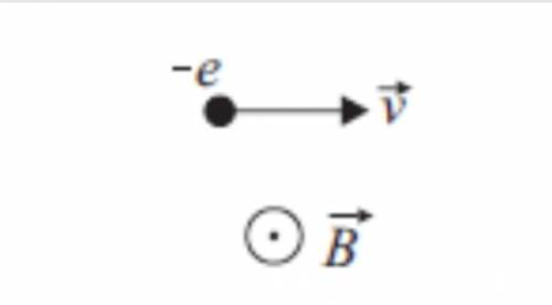 На электрон, движущийся в магнитном поле, сила Лоренца направлена относительно рисунка (вверх, вниз,