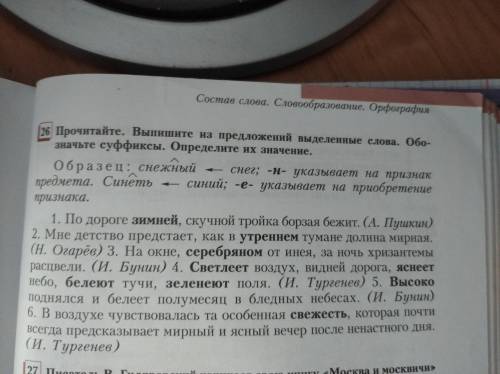 Прочитайте. Выпишите из предложения выделенные слова. Обозначьте суффиксы. Определите их значение МН