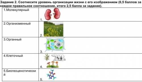 Задание 2. Соотнесите уровень организации жизни с его изображением. СПОЧНО !​