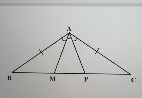 У рівнобедреному трикутнику ABC(AB=AC) побудували відрізки AM і AP, які ділять А на трирівні кути. П