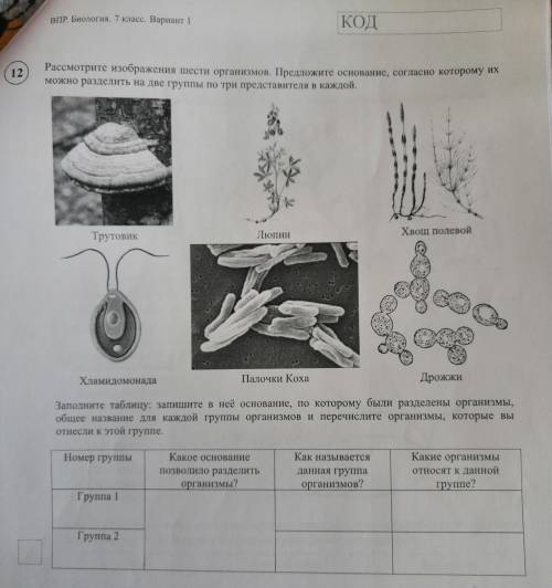 . Прочитайте названия шести организмов. Предложите основание, согласно которому их можно разделить н