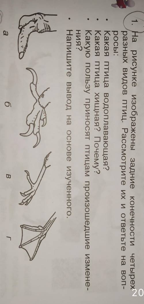 . 1. На рисунке изображены задние конечности четырехразных видов птиц. Рассмотрите их и ответьте на