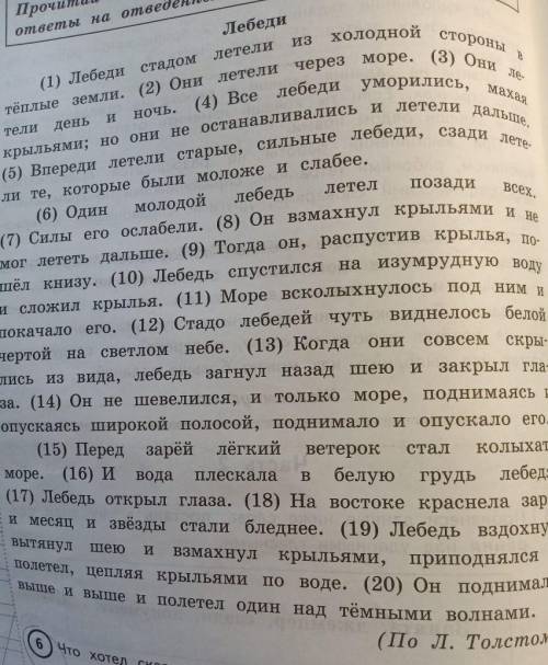 Замени слово стадо стадом из 1 предложения близким по значению словом запиши это слово