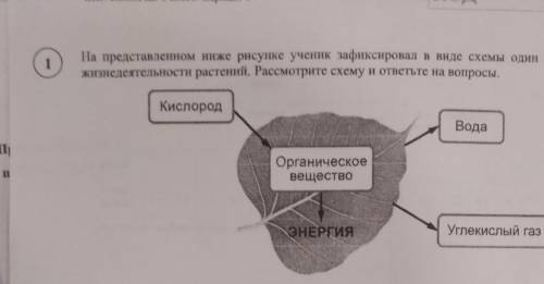 проверить. Легко, но сомневаюсь. 1.1. Как называют данный процесс?1.2. Знание в области какой ботани