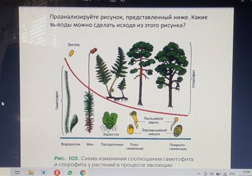 Проанализируйте рисунок, представленный ниже. Какие выводы можно сделать исходя из этого рисунка