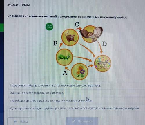 Определи тип взаимоотношений в экосистеме, обозначенный на схеме буквой А. сBILIMСегоBDAПроисходит г