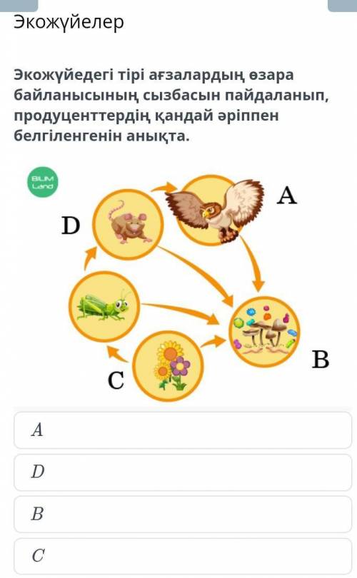 Экожүйелер Экожүйедегі тірі ағзалардың өзара байланысының сызбасын пайдаланып, продуценттердің қанда