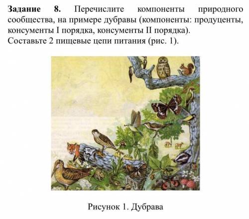 Задание 8. Перечислите компоненты природного сообщества, на примере дубравы (компоненты: продуценты,