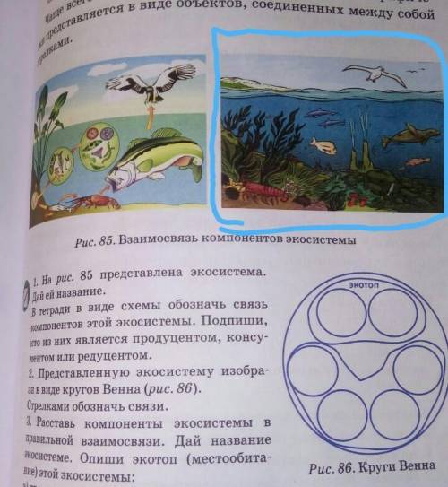 1. На рис. 85 представлена экосистема. Дай ей название. (я отметил по какой картинке делать надо) В