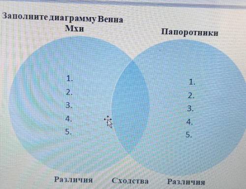 Заполните диаграмму ВеннаMхиПапоротники​