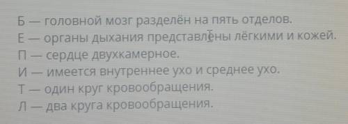 Какие особенности строения отличают земноводных от рыб? Укажи эти особенности и запиши обозначающие