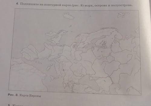 Подпишите на контурной карте (рис. 8) моря, острова и полуострова ​