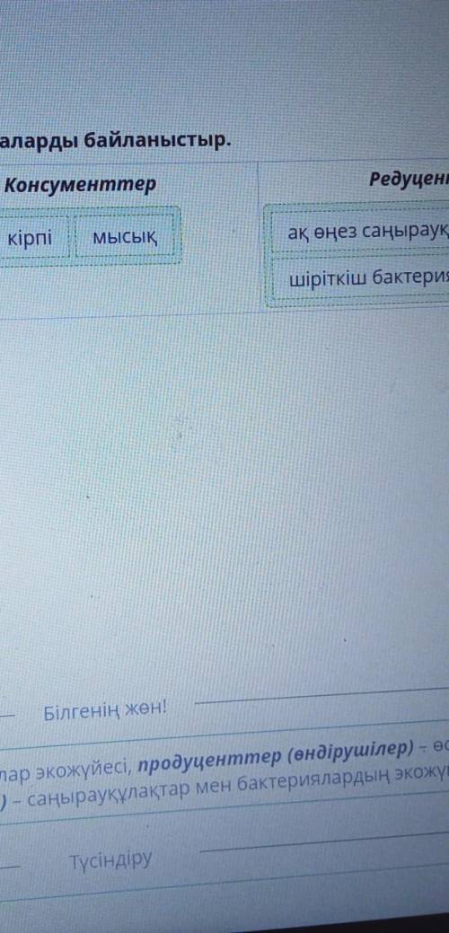 Экожүйе құрамбөліктері Экожүйенің құрамдас бөліктері мен тірі ағзаларды байланыстыр.ПродуценттерКонс