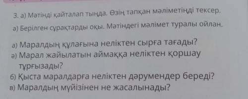 5. Сұраққа жауап бер. Бингодағы ең үлкен сан қайсысы?Бингодағы ең кіші сан қайсысы?Ең үлкен санға де