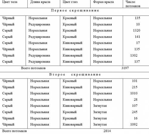 У дрозофилы чёрное тело, киноварные глаза, редуцированные крылья, загнутые крылья – рецессивные приз