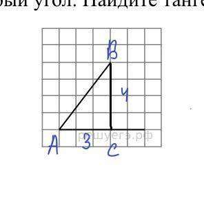 На клетчатой бумаге с размером клетки 1 × 1 изображен острый угол. Найдите тангенс этого угла.