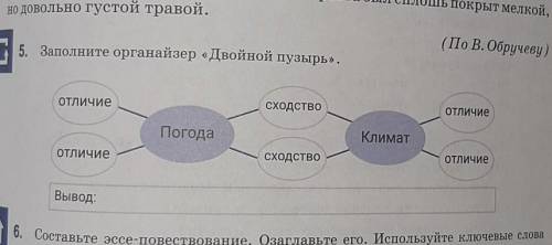 Заполните органайзер двойной пузырь​