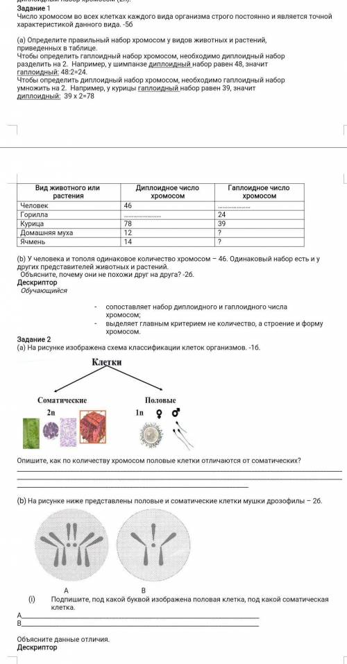 Биология 7 класс Задание 1Число хромосом во всех клетках каждого вида организма строго постоянно и я