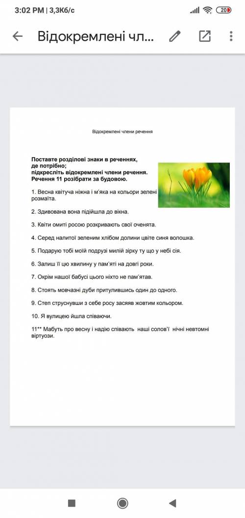 укр мова 8 клас відокремлані члени речення а там де виделаить наптшите просто какие слова