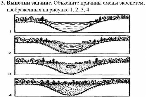 3. Выполни задание. Объясните причины смены экосистем, изображенных на рисунке 1, 2, 3, 4 коротко¡¡¡